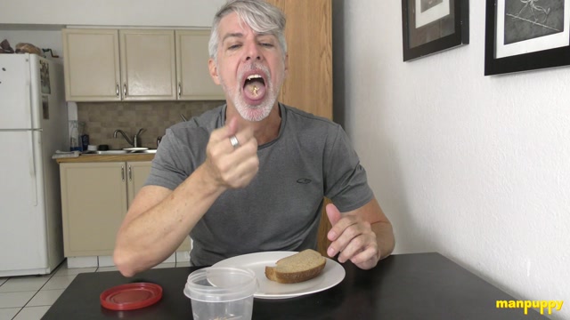 Silver Daddy Teases His Tiny Friends with Crumbs from His Sandwich
