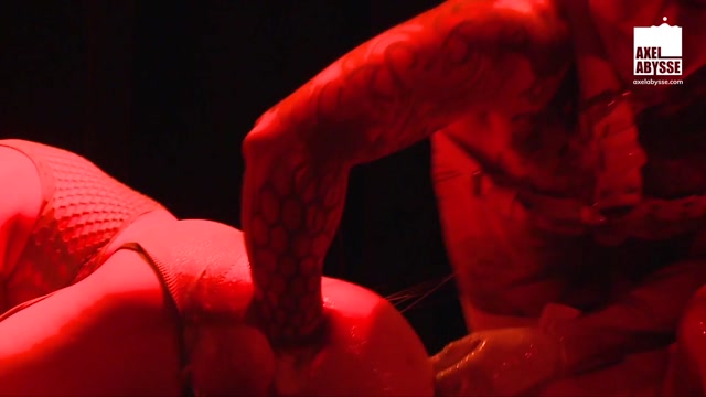 Two Fisting Pigs Give a Handballing Demonstration