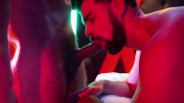 Bearded Man Hungrily Takes Every Inch to The Back of His Throat