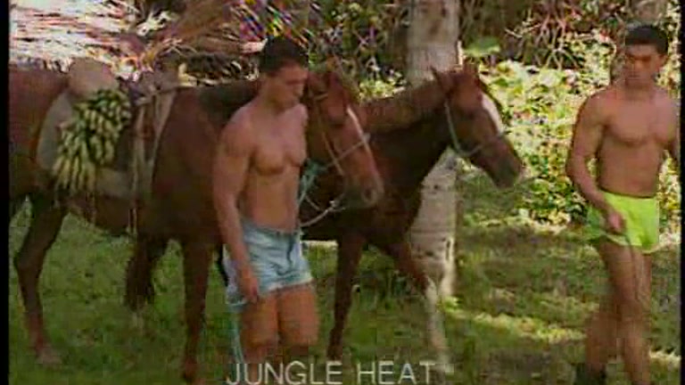 Jungle Heat