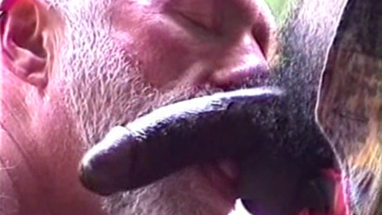 Grey-Haired Cocksucker & Big Black Cock