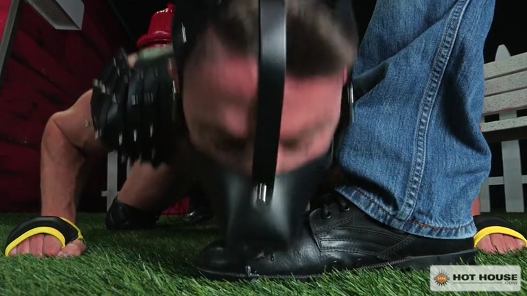 puppy licks his master's boots