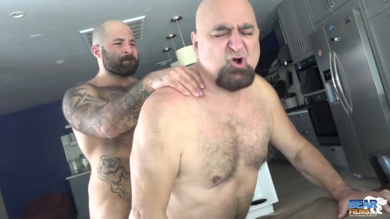 sexy bear cub fucks daddy's ass over a table