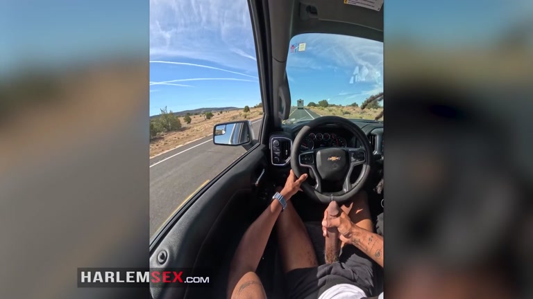 Passenger Jerks Diver with His Expert Hands While the Vehicle Rolls Down Highway
